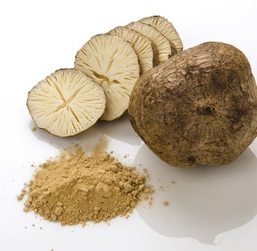 Pueraria Mirifica o Que é e Para Que Serve