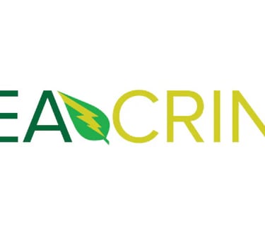 TeaCrine para que serve? beneficios e indicações