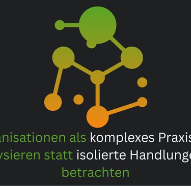 Organisationen als Praxisfeld