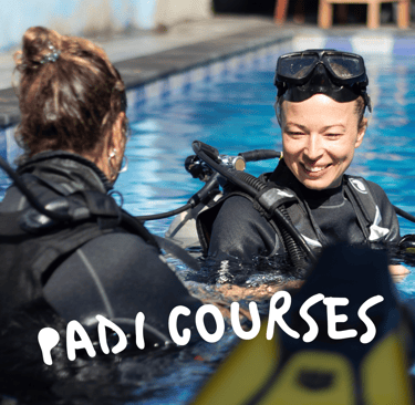PADI Course at Sandy Beach Dive Academy /sandy beach dive centre