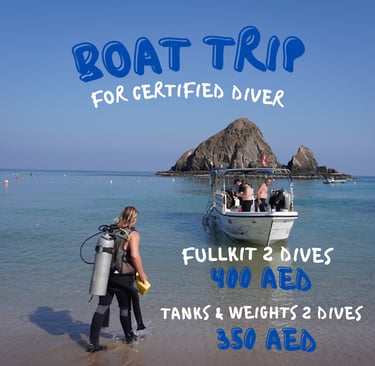 Explore top-rated  boat trips in Fujairah, Scuba Dive in Fujairah with Sandy Beach Dive Academy