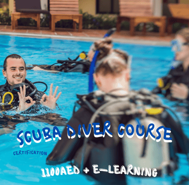 scuba diver course with sandy beach dive academy