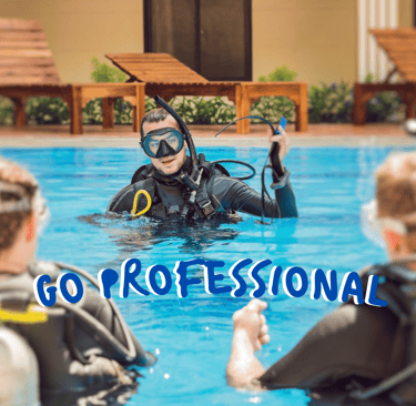 PADI Pro , Dive Master , Scuba Instructor ,efr instructor