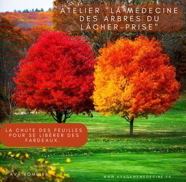 medecine des arbres feuilles cercle ressenti atelier