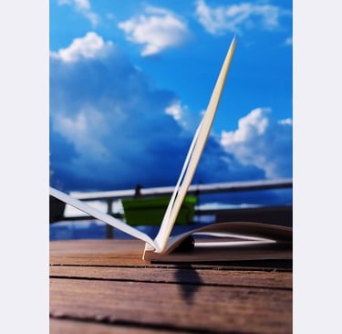 Journal dans le ciel bleu - newsletter depuis le Sensible - Helene Gorius