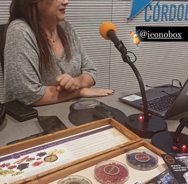 En RADIO CONTINENTAL, en Córdoba capital, durante una entrevista en el programa  Mas Vinos que Nunca