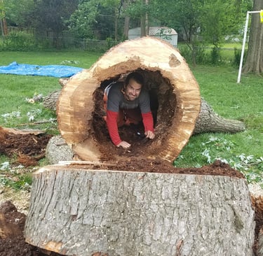 Shammah D'Urso inside a large Maple tree. Tree needed to be removed because of storm damage. Tree was in Overland Park Kansas