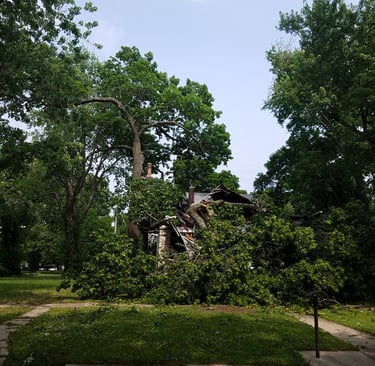 Storm damage tree in Shawnee Kansas Emergency response