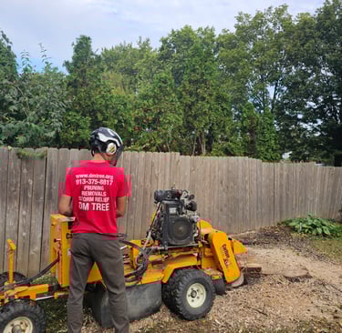 Professional arborist using a yellow stump grinder for residential tree removal services near a wooden fence.