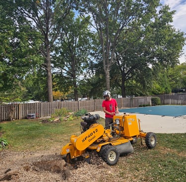 Professional arborist using a yellow diesel stump grinder to remove a tree stump in a backyard.