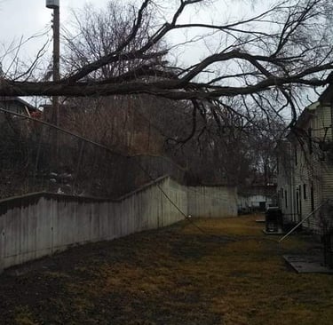 Storm damaged tree that required technical rigging in Kansas city Kansas DM Tree