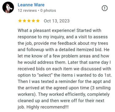 review from dm tree customer in overland park kansas. safe reliable