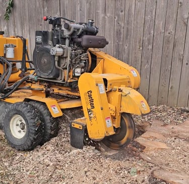 A yellow Carlton stump grinder machine removing a tree stump in a yard with wood chips.