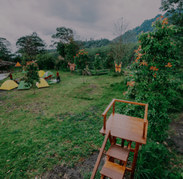 Kalikuning Park Tempat Outbound Jogja