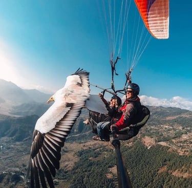 Sky Adventures: Paragliding in Agafay & Marrakech