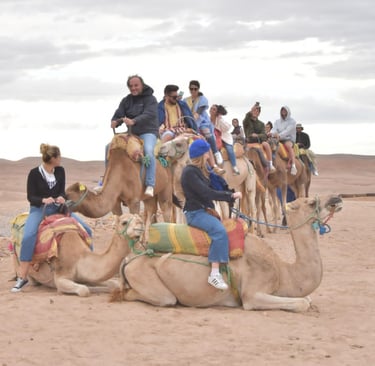 Camel Trekking: Explore the Moroccan Desert on Camelback