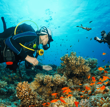 Moalboal is a coastal town in the southwest of Cebu Island, Philippines