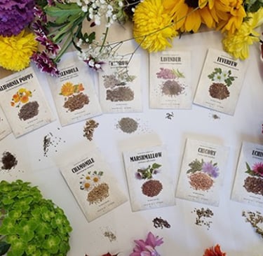 essential seeds for apocalyptic regrowth