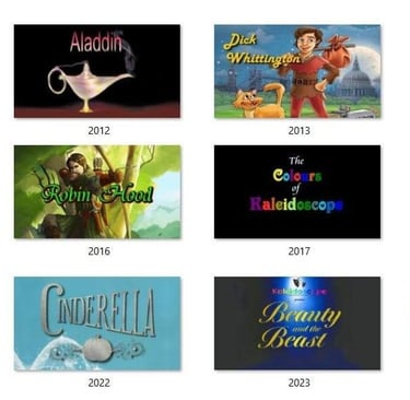 Collection of show covers from 2011 - 2024