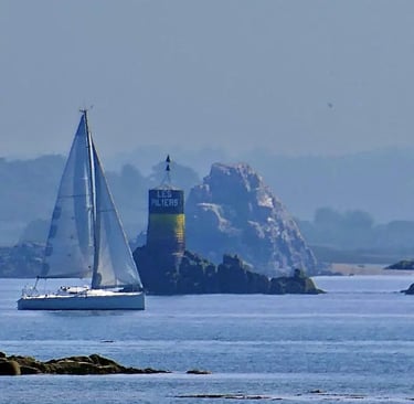 Balade en mer avec apéritif