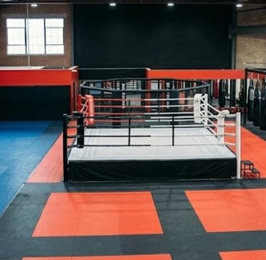 Change of Use Approved by Basildon Borough Council for a Martial Arts and Fitness Academy