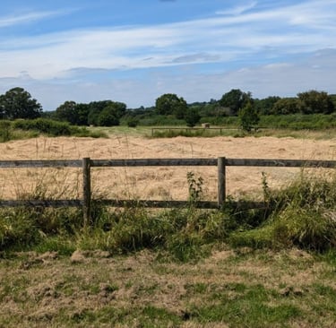 what is the Green Belt