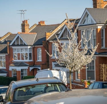 planning appeal consultant