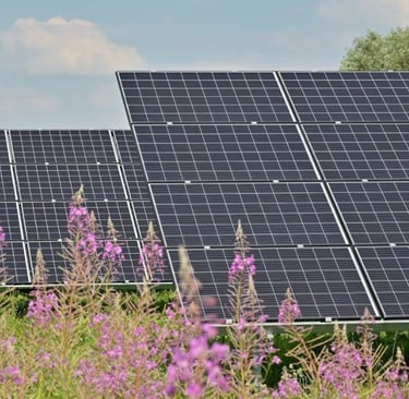renewable energy in green belt
