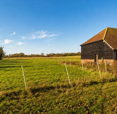 what is openness in the green belt