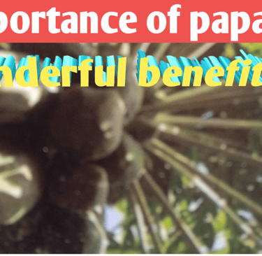 Papaya benefits