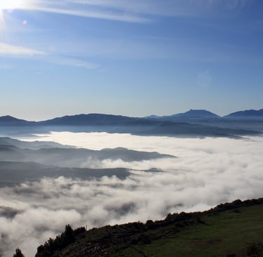 Boira, Niebla, Fog