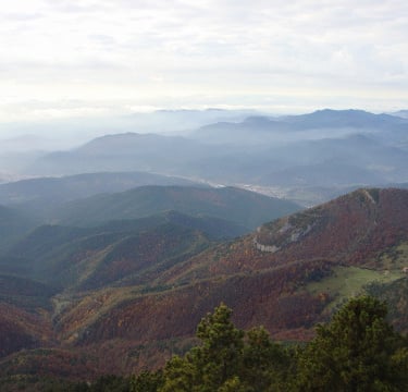 VISTES DES DE SANT AMAND
