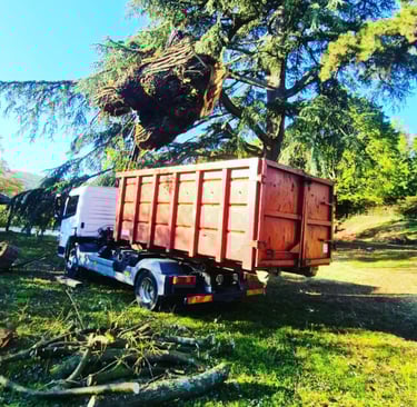 Camion d'élagage