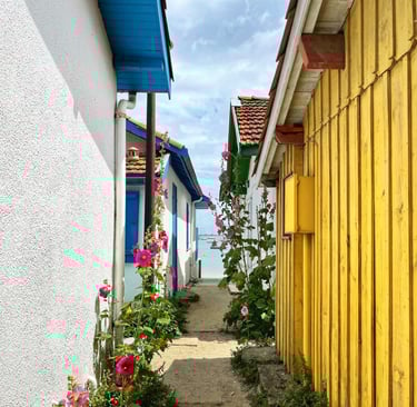 village de pêcheurs cap ferret toiture