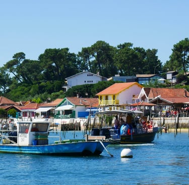 pinasse maison cap ferret vue bassin