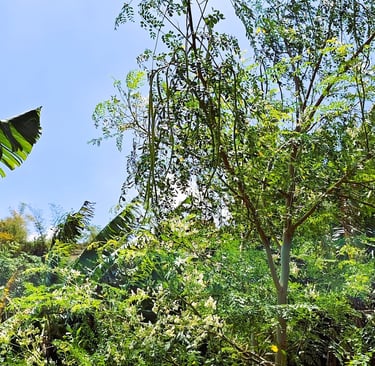 best resort in anaikatti