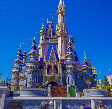 parquemagic kingdom