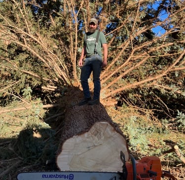 Scott standing on a felled tree.