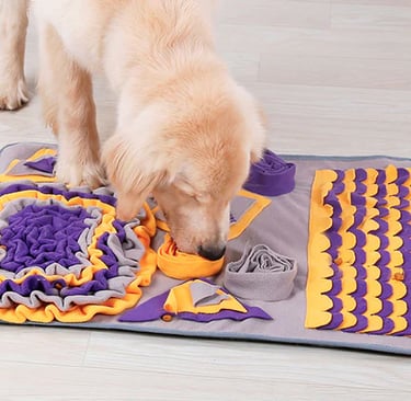 chien qui cherche dans un tapis de fouille