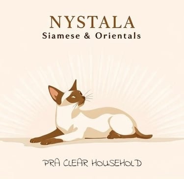 NYSTALA ORIENTAL AND SIAMESE CATS WEBSITE