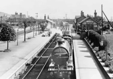 Special Trains bringing visitors to the Sandy Show 1910s