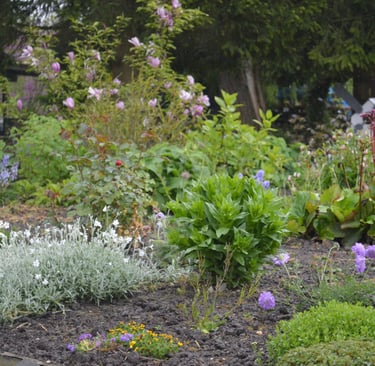 Créations de massifs à Soisy-sur-Seine et aux alentours.
