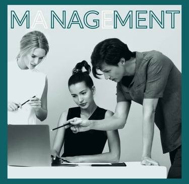 Visuel représentant le Management 