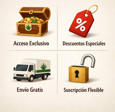 Collage de iconos que representan los beneficios de la suscripción Etukua: un cofre del tesoro (excl