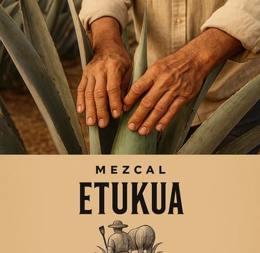 Manos experimentadas tocando agave maduro en campo bajo luz natural