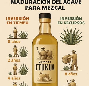 Experiencia de calidad premium en mezcal artesanal que justifica su valor