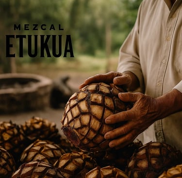 En manos de los mezcaleros se hace la mejor cosecha