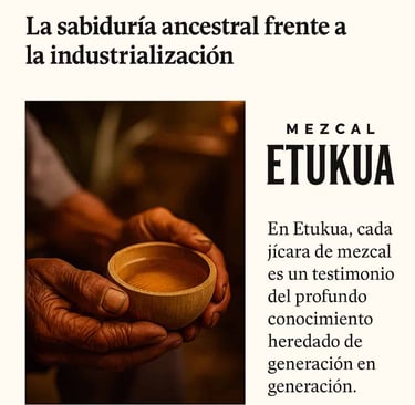 Manos de un maestro mezcalero experto sosteniendo una jícara con mezcal artesanal.