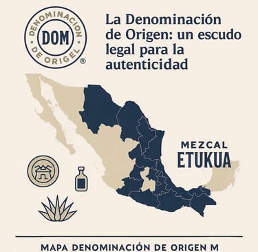 Mapa de México mostrando los estados autorizados por la Denominación de Origen Mezcal