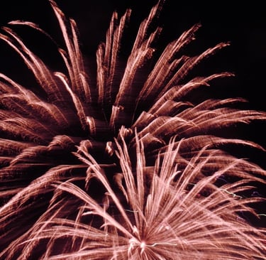 reddish pink fireworks exploding against a black background